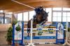 Foto: Sportlich deutlich gereift ist der sechs Jahre alte Casselot von Cassoulet in der Ausbildung von Takashi Hasse auf der Hengststation Maas J. Hell - Fotograf: Stefan Lafrentz