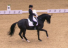 Foto: Kristina Bröring-Sprehe/Desperados FRH im Dortmunder Grand Prix - Fotograf: Screenshot ClipMyHorse.TV