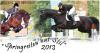 Springreiten hat Stil 2013