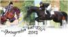 Springreiten hat Stil 2013