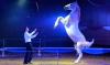 Foto: "Kristallion 2" Quelle: Karl-Heinz Fernandez
