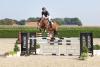 Foto: Kat.-Nr. 6 Straight on - Fotograf: Hetzel Horses