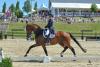 Foto: Suppenkasper mit Steffen Peters/USA - Fotograf: Sabine Wegener/EQUITARIS