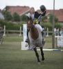 Foto: Sven Gero Hünicke und Sunshine Brown gewannen die Holsteiner Masters Springcup-Etappe auf Fehmarn - Fotograf: Julia Widder