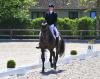 Foto: Gehört zu Portugals Olympia-Auswahl, lebt in Wedel und qualifizierte den Oldenburger Hengst Van Gogh in Klein Offenseth für das Bundeschampionat - Nuno Palma E Santos - Fotograf: Hell