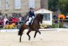 Foto: Reitmeisterin Dorothee Schneider bricht zum 2. Mal in diesem Jahr ihren eigenen Rekord. Mit Quaterline T siegt sie in der 12. Finalqualifikation zum NÜRNBERGER BURG-POKAL und ist mit nunmehr 20 qualifizierten Finalpferden eine Klasse für sich - Fotograf: Thomas Hellmann