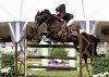 Foto: Mit Zenzero am Schnellsten im klassischen Springen Kl. S* in Bremen-Oberneuland: Brianne Beerbaum - Fotograf: Thomas Hellmann