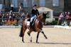 Foto: Grand Prix-Sieg für Isabell Werth in Ludwigsburg mit einem putzmunteren Emilio - Fotograf: Thomas Hellmann