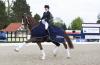 Foto: Friederike Hahn und Die Fuestin erfolgreich im Nürnberger Burg-Pokal in Hagen - Fotograf: Thomas Hellmann