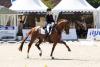 Foto: Bei der Qualifikation zum NÜRNBERGER BURG-POKAL in Balve 2024 eine Klasse für sich – ebenso wie im Siegerpreis in Frankfurt: Leonie Richter und der dreifache Vizeweltmeister der jungen Dressurpferde Vitalos FRH - Fotograf: Thomas Hellmann