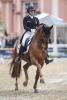 Foto: Katharina Hemmer (GER), Denoix PCH mit 'personal best' im Schlosspark - Fotograf: TomsPic
