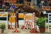 Foto: Trakehner Junghengstes Rusticus beim Freispringen. Der Hengst wird von Hauke Jäger, Lütjenwestedt zur Körung vorgestellt. - Fotograf: Stefan Lafrentz