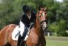 Foto: Trakehner machen Freude! Das Trakehner Bundesturnier ist das einzige große Reitturnier, dass exklusiv von einem Pferdezuchtverband ausgerichtet wird – dabei sein ist ein besonderes Erlebnis - Fotograf: Stephan Bischoff