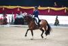 Foto: Franz Trischberger dominierte die CDI4* Kür-Tour bei der Silberpfeil Amadeus Horse Indoors in Salzburg - Fotograf: © Silberpfeil Amadeus Horse Indoors Daniel Kaiser