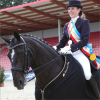 Foto: Christina Thieme, Tochter von Michael Thieme (Leiter der Landes- Reit- und Fahrschule beim Landgestüt Redefin, zwei-fache Mutter und Lehramtsinhaberin, ist mit Dozent die Titelverteidigerin in der S-Klasse der Ü22 Dressurreiter - Fotograf: Jutta Wego