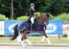Foto: Sabrina Geßmann mit S Rockyna - Fotograf: Hartwig