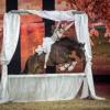Foto: Pferdenacht Lisa-Roeckener 