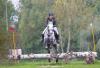 Foto: Der arabische Schimmelhengst Mislaf Altbah bei seiner Hengstleistungsprüfung. Arabische Pferde sind Sport-, Freizeit- und Schaupartner ihrer Züchter/innen und Reiter/innen im VZAP - Fotograf: Sirid Hahn