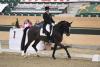 Foto: Oliver Valenta (Magna Racino) - © Horse Sports Photo 