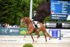 Foto: Valerie Gold v. Viva Gold ist die neue Landeschampionesse der fünfjährigen Dressurpferde - Fotograf: Janne Bugtrup