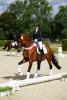 Foto: Westfalen-Champion der sechsjährigen Dressurpferde Valverde und Eva Möller - Fotograf: Westfälisches Pferdestammbuch e.V.