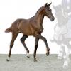Foto: Viva Forever von Vitalis x Rouletto 