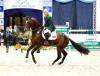 Foto: Vivant unter Chris Chugg - Fotograf: Frieler