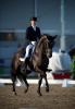 Foto: Der 11-jährige KWPN-Hengst GLOCK’s Voice überzeugte gerade erst unter GLOCK Rider Edward Gal mit einem Top-Score von 81.225% im Grand Prix Freestyle von Arnheim - Fotograf: Arnd Bronkhorst 
