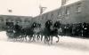 Foto: Vorführung der Hengst im Gestütshof Offenhausen Viererzug - Fotograf: Archiv Marbach 