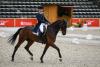 Foto: Michael Jung/fischerChipmunk FRH - Fotograf: Fotograf: equistock.de/Waldenmaier