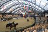 Foto: Noch vor den ersten Besuchern werden Pferde und Reiter die Hallen für Holstein International erobern - Fotograf: ACP Pantel