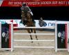 Foto: Philipp Weishaupt (GER) und Coby auf dem Weg zum Sieg im Neuro Socks Masters bei der Neuro Socks Amadeus Horse Indoors - Fotograf: © EQWO.net