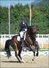 Foto: Isabell Werth (GER) und Der Stern OLD holten beim dritten Start den dritten Sieg - Fotograf: Nini Schäbel
