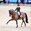 Foto: EM Team Bronzemedaillengewinnerin 2015, Isabell Werth (GER) und Don Johnson FRH sind die strahlenden Sieger des ersten Dressur Weltcup Bewerbs in Salzburg bei der Mevisto Amadeus Horse Indoors - Fotograf: Daniel Kaiser – www.impressions.de
