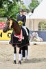 Foto: Westfalen-Champion der sechsjährigen Dressurpferde Voller Emotionen v. Vitalis/Ehrentanz BU 2: Westfalen-Champion der dreijährigen Reitpferdehengste Zahir v. Zoom/Sir Heinrich - Fotograf. Foto Oger