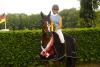 Foto: Westfalen-Champion der fünfjährigen Springpferde Bella Donna S v. Balous Bellini/Calido - Fotograf: Westfälisches Pferdestammbuch