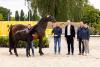 Foto: Candinsky v. Cornet Obolensky/Contendro mit Züchterin Deborah Johannhardt, Kundenberater Steffen Werner, Auktionsleiter Wilken Treu und den Kundenberatern Thomas Schönig und Lisa von Aspern - Fotograf: Hannoveraner Verband