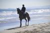 Foto: Scott Brash genießt den Strand von Oliva Nova - Fotograf: Julia-Raffaela Billmann/comtainment GmbH