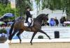 Foto: Tinne Vilhelmson-Silfven freute sich nach ihrem Sieg im CDI***** Grand Prix der Auftaktprüfung zur teuersten Dressurserie der Welt, der WDM (World Dressage Masters) - Fotograf: Maximilian Schreiner