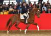 Foto: Preisspitze mit 60.000 Euro: Vitruv v. Vitalis-DACAPRIO-METTEUR wechselt in die Schweiz - Fotograf: Max Schreiner