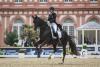 Foto: Jil Beck und Damon's Delorange gewinnen den Piaff Förderpreis in Wiesbaden - Fotograf: equistock.de