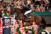 Foto: Marco Kutscher gewinnt mit Charco das Championat von Leipzig Fotograf: Sportfotos-Lafrentz