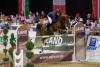 Foto: Andreas Kreuzer und Calvilot zogen noch an Billy Twomey vorbei und gewannen dern Preis der Agravis in Oldenburg - Fotograf: Stefan Lafrentz