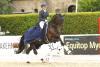 Foto: Annika Becher und ihr Trakehner Kamani Hill v. Cadeau brillierten beim Trakehner Bundesturnier 2021 mit mehreren Siegen in Dressurprüfungen der Klasse S - Fotograf: Stephan Bischoff