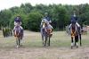 Foto: Zum Auftakt des Internationalen Trakehner Bundesturniers glänzten die drei Trakehner Geländepferdechampions 2022, Halcon mit Emely Kurbel, Blancor mit Jens Hoffrogge und Picare de Polar mit Guido Kirmse - Fotograf: Sigrun Wiecha