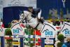 Foto: Jens Baackmann und seine Carmen 2016 in Münchens Olympiahalle. Der Springreiter aus Münster rangiert aktuell an Position drei - Fotograf: Stefan Lafrentz