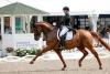 Foto: Sieger der Finalqualifikation zum NÜRNBERGER BURG-POKAL beim LONGINES BALVE OPTIMUM 2021: Ann-Christin Wienkamp und Finley - Fotograf: Stefan Lafrentz