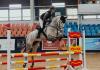 Foto: Beginnt schon am Donnerstag mit Springpferdeprüfungen für die ganz jungen Pferde - das Wintermeeting II in der Graf von Lindenau-Halle in Neustadt-Dosse - Fotograf: reitsportmedia