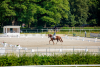 Foto: Großzügig bemessen und ab dem kommenden Wochenende Standort der Deutschen Jugendmeisterschaften Reiten - das Reitsportgelände in der Lindhooper Straße in Verden - Fotograf: Juliane Fellner
