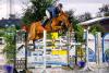 Foto: Die Big Trophy von Jumping Team Nord, eine Springprüfung der Klasse M** mit Siegerrunde, entschieden Claas Christoph Gröpper und Chac Boy`s Centura PS für sich - Fotograf: Christian Beeck)